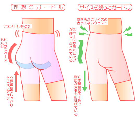 体型と補整下着 株式会社ジェノバ